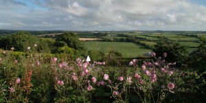 Ardfield Farmhouse Bed and Breakfast - Bedroom Views
