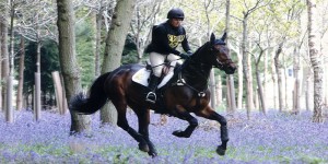 Ardfield Farmhouse Bed and Breakfast - Horse Riding