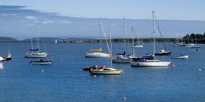 Schull Holiday Makers - Schull Harbour